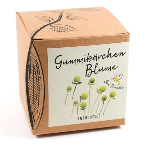 Geschenk-Anzuchtset Gummibärchenblume