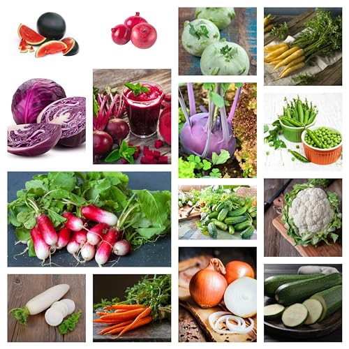 15 Verschiedene Gemüsesamen im Set für Garten und Gewächshaus, Saatgut-Tütchen