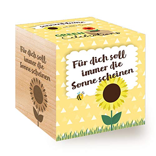 Celebrations Ecocube, Sonnenblume Bio Samen, Holzwürfel Mit Lasergravur «Für Dich Soll Immer Die Sonne Scheinen», Nachhaltige Geschenkidee, Anzuchtset, Made in Austria